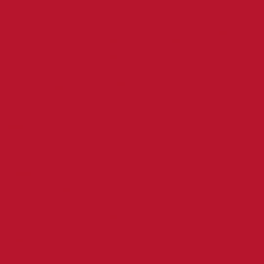 Tecido Tricoline Coleção Composê Ideal Vermelho - Liso - 100% Algodão - Largura 1,50m